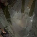 유림 비엔비 이미지