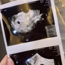 새봄산부인과의원 이미지