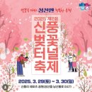 일성농장 | 제주 곧 벚꽃시즌!!! feat. 일성제주비치