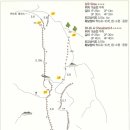 심우 이미지