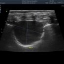 24시 이오동물병원 이미지