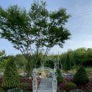 가리점 하우스 이미지