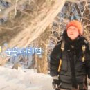 세쌍둥이네풀꽃세상 이미지