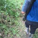 묵은저수지 이미지