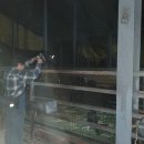 솔미농장 이미지