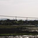 배들약국 이미지