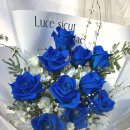예송 농장 | 파란장미 꽃다발 가격