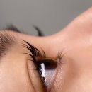 동강대자연 이미지