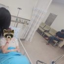 뉴김밥도둑 | 마지막 안부