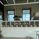 개스트하우스 | 청주 애견카페 애견유치원 개스트하우스 내돈내산 방문후기