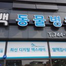 용마동물병원 네이버블로그