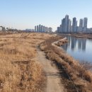 달빛공원 쿠키뉴스