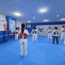 성인 태권도장 | 마포 성인태권도장 수련 후기! 직장인 취미 추천 리스트에 없던 의외의 선택