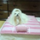 가정1-01-031 이미지