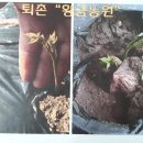 김재옥농장 이미지