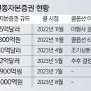 “국가 담보도 못 믿겠다”… 무능한 정치가 빚은 ‘나비효과 이미지