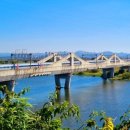 비비정예술열차 이미지