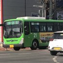 머티네거리 이미지
