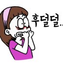 비둘기어린이집 이미지