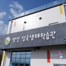 당곡천 | 양산) 습지의 동식물에 대해 배우는 알찬 시간 :: 당곡생태학습관
