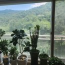 면목동-102 이미지