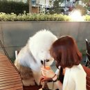 띵동 이미지