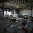 에프엠(F.M) 이미지