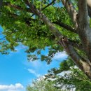 소소5층 이미지