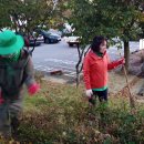 온천2동-18 이미지