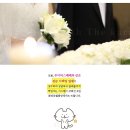 황새울로311번길 | 분당스몰웨딩 예산 걱정 NO! 합리적인 루이비스베베 더카라웨딩 추천