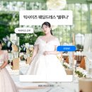 빅사이즈 웨딩드레스 후기 _ 화려한 비즈 드레스 ‘델루나’