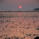 1995&음악맥주 이미지