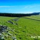 마음의 법칙, 사랑의 종류 이미지