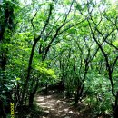 오서산 산행 후기