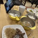 레츠고오션 이미지