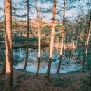 연못155 이미지