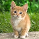 365동물병원 분당점 이미지