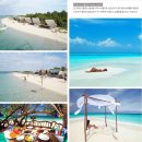 이과수빌라옆 | 결혼_♥114 신혼여행지 예약