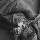 독서심리상담사 1급 이미지