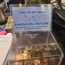 백조세차장 | 20250616 오스트리아 빈 출장: 출근 + 회식 + 귀가