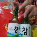 대구 북성로 소주 2000원 불타는청춘 + 참소주 라벨 바뀜