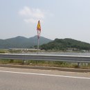 강화벤댕이