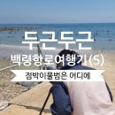 백령도 여행 2일차 | 물범바위-백령고등학교-두무진-콩돌해변-사곶해변-용기포항여객터미널-푸른나래호