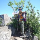 인제 대암산 용늪 천연기념물로 지정된 습지 보호구역인 산행 100대명산 2015,5,25 이미지