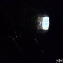 트랑