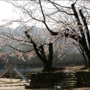 백전소재지 이미지