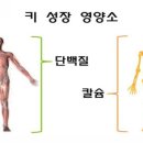 정왕점핑클럽
