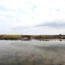 제주 비양도 호니토 이미지