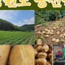 정선감자전 이미지