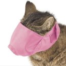 보정동물병원 이미지